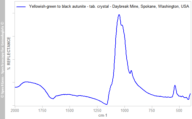 irs autunite C yellowish green to black DaybreakMine Spokane Washington USA
