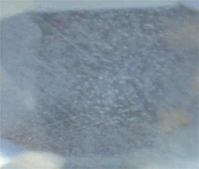 zircon453 inclusions