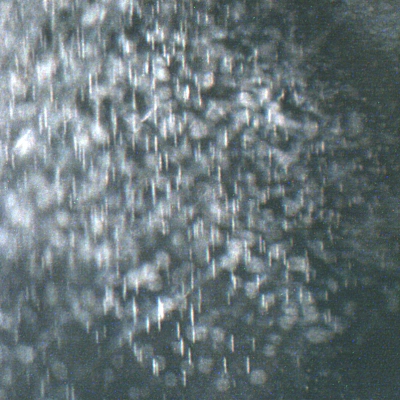 zircon453 inclusions closeup fov 1.2mm