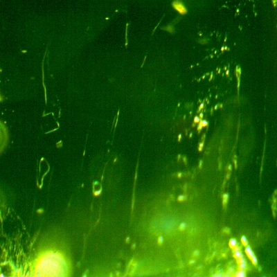 1104101507 emerald 083 multiphase 400 fov 1.2mm
