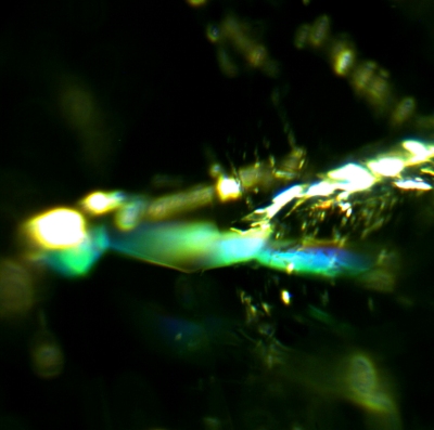 1104103411 emerald 083 interference 400 fov 1.25mm