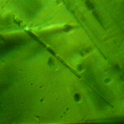 1104130423 emerald 083 growth tube other light 400 fov 0.50mm