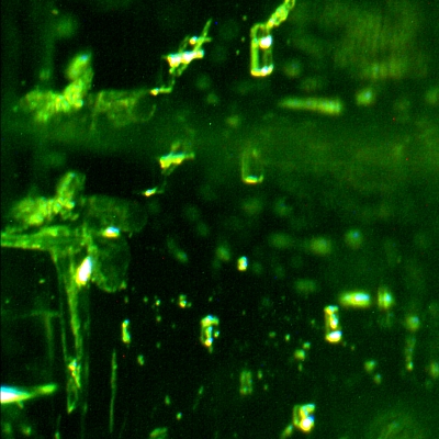 emerald 103 unk 1104111642