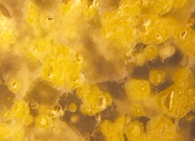 internal details calciteSerpentineYellowDots