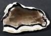  Opalized (petrified) wood from Megyaszó, Hungary